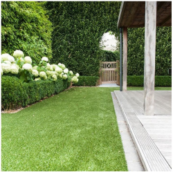 artificial grass, fake grass, how to clean fake grass