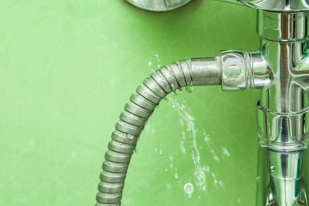 Leaking shower hose caused by worn rubber washer.