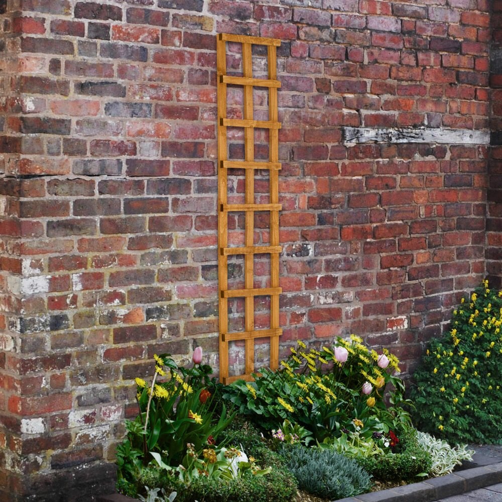 Wall-mounted trellises