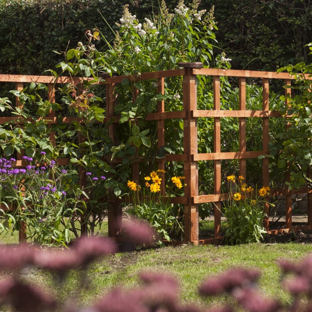 Garden trellis