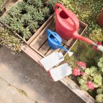 How to Save Your Garden in a Heatwave: The Ultimate Summer Watering Guide