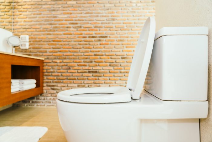 How to Install a Toilet: A Step-by-Step Expert Guide