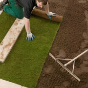 Turf / Soil