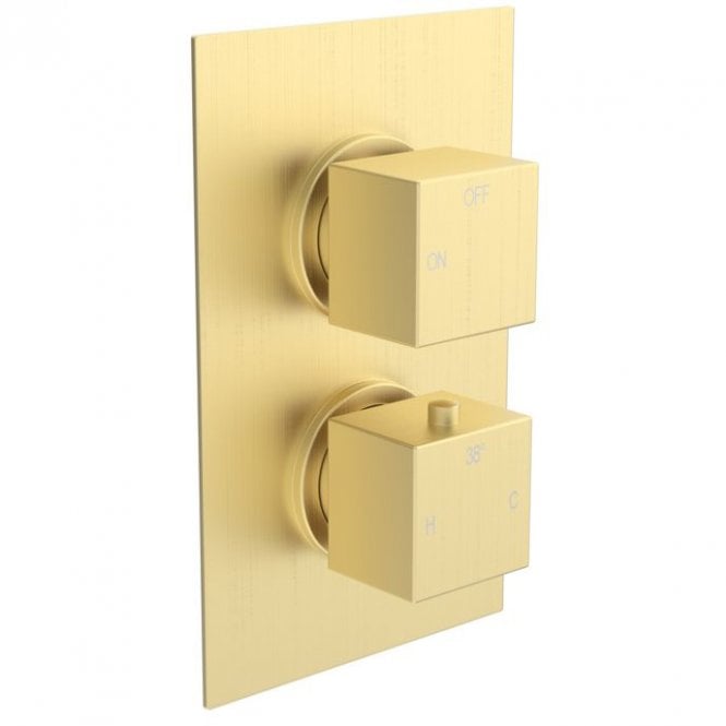 Dove Bathrooms Storm Thermostatic Single Outlet Twin Shower Valve - Brushed Brass