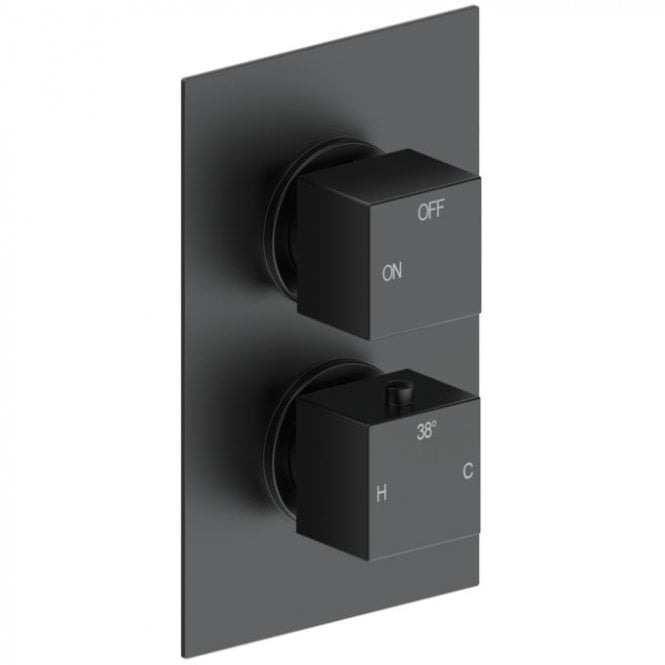 Dove Bathrooms Storm Thermostatic Single Outlet Twin Shower Valve - Matt Black