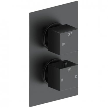 Storm Thermostatic Single Outlet Twin Shower Valve - Matt Black