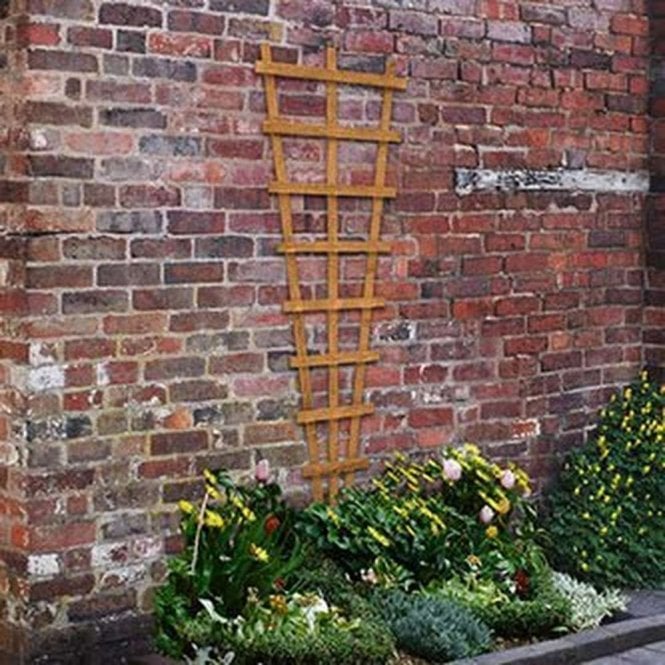Forest Garden 1.83 x 0.66m Heavy Duty Fan Trellis
