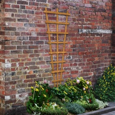 Heavy Duty Fan Trellis 183 x 66cm