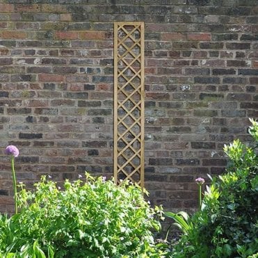 Hidcote Lattice