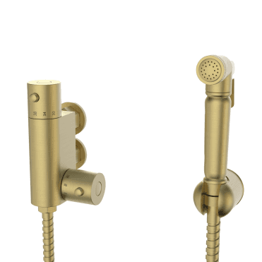 Douche Kit with Thermostatic Mixing Valve and Brass Spray Head Brushed Brass