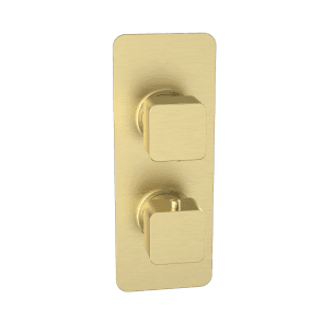 Kolt Brushed Brass Concealed Shower Valve (Twin Outlet)