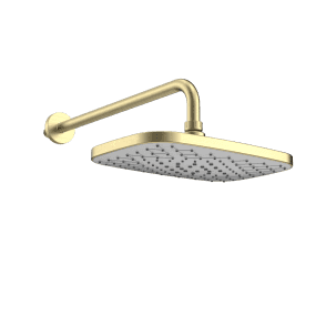 Kolt Brushed Brass Fixed Head and Arm