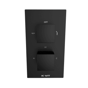 Nero Square Matt Black Concealed Thermostatic Twin Outlet Shower Valve with Diverter