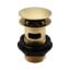 Brushed Brass Slotted Basin Clicker Waste