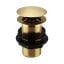 Brushed Brass Unslotted Basin Clicker Waste