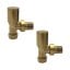 Modern Angled Radiator Valves Brushed Brass (Pair)