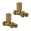 Modern Straight Radiator Valves Brushed Brass (Pair)