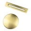 Optional Freestanding Bath Overflow & Waste Cover - Brushed Brass