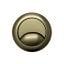 Brushed Brass Push Button to suit Dual Flush Cistern ACC001N