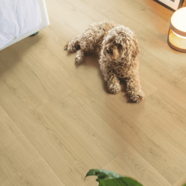 Capture Laminate Flooring Brushed Oak Natural