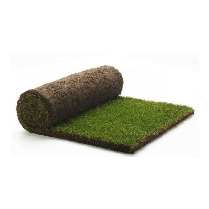 Rolawn Medallion Turf 1m²