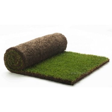 Medallion Turf 1m²