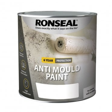6 Year Anti-Mould Paint White Matt - Silk